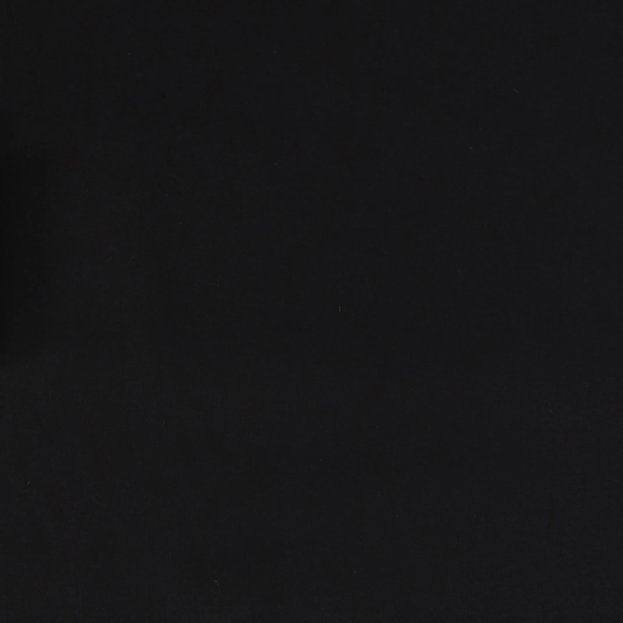 Cotton Voile - Black