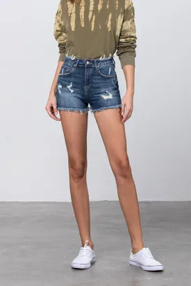 Mid Rise Distressed Shorts